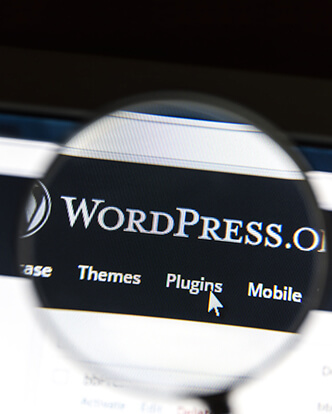 WordPress Development-02